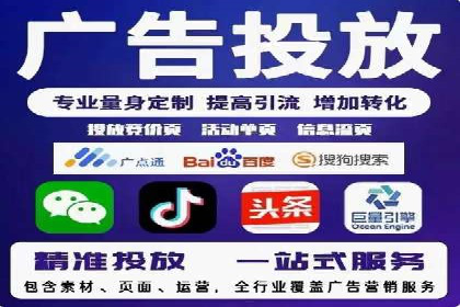 SEM广告投放中的数据监控与调整策略——以某品牌营销案例为例